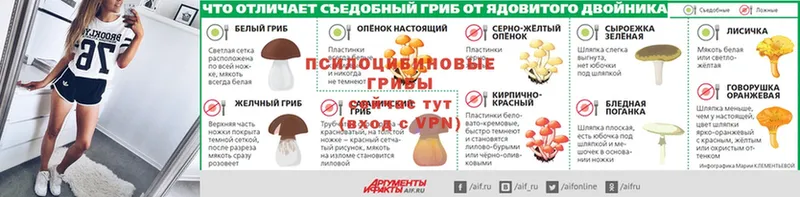 мега ТОР  продажа наркотиков  Кузнецк  Галлюциногенные грибы мицелий 